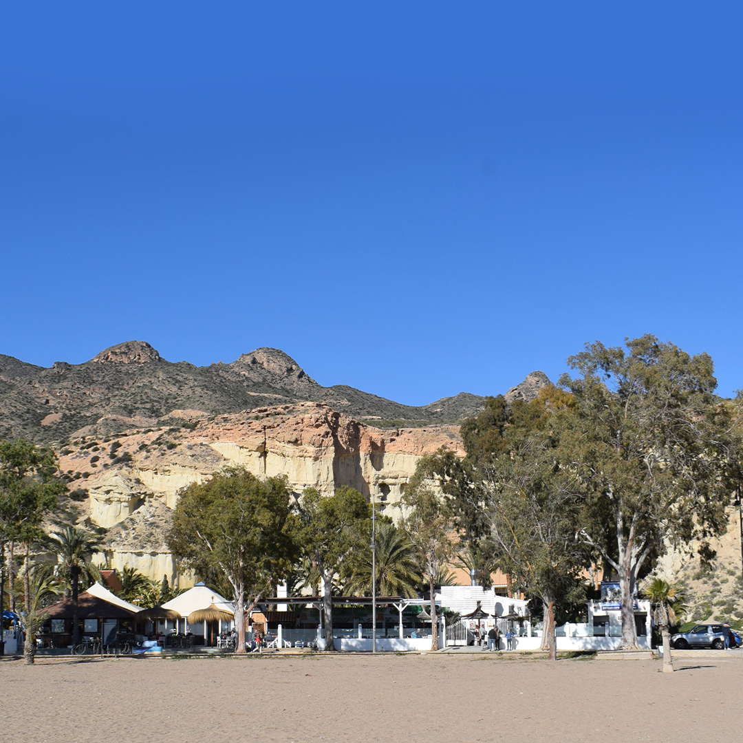 1 oasis de las palmeras bolnuevo 01