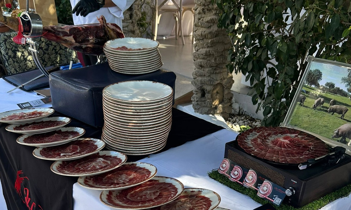 oasis de las palmeras bolnuevo eventos
