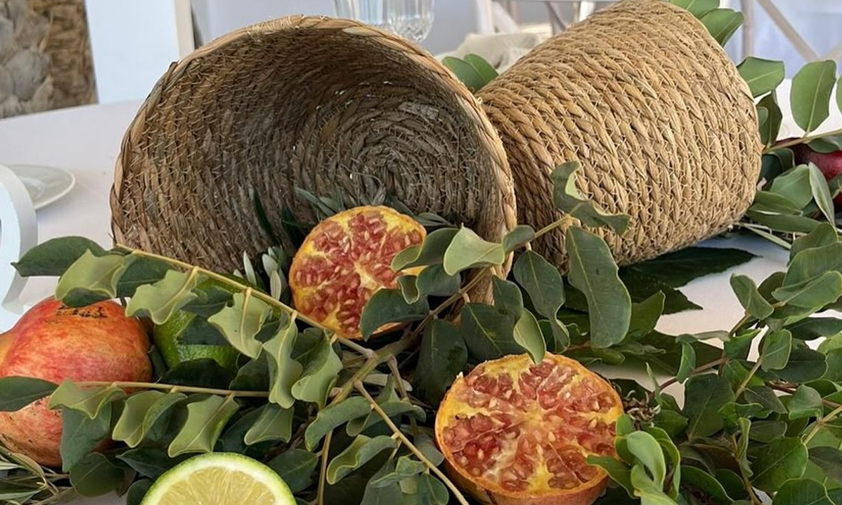 oasis de las palmeras bolnuevo eventos c