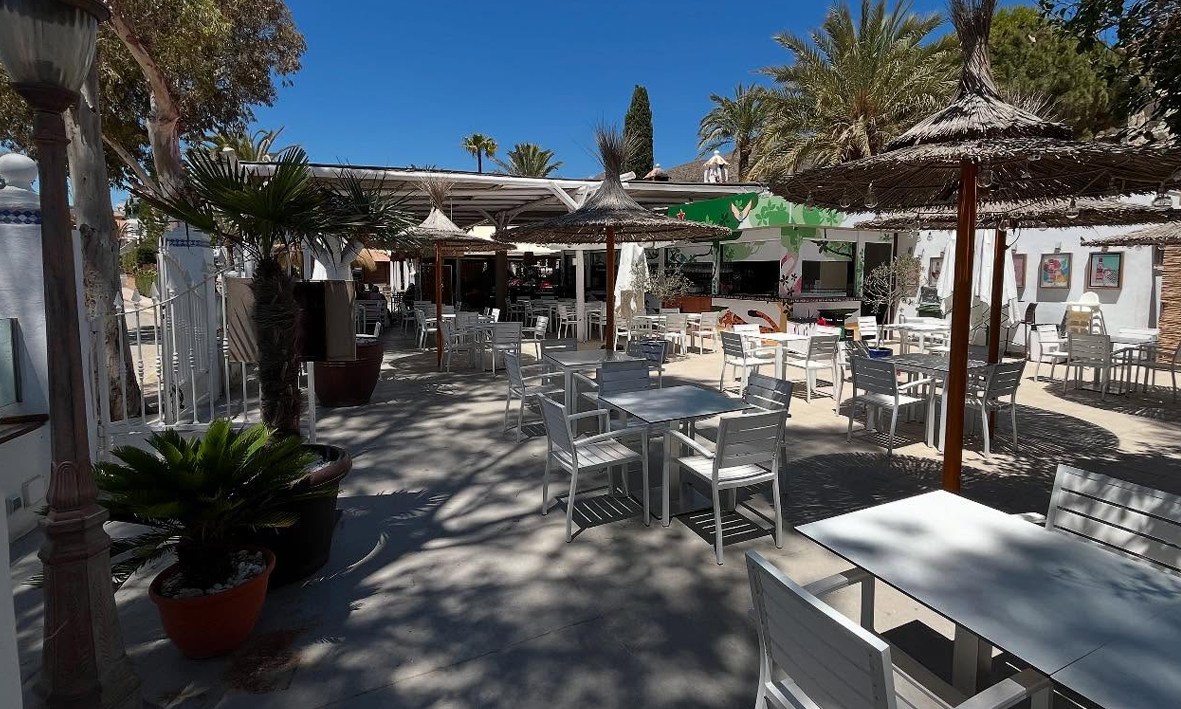 oasis de las palmeras bolnuevo mazarron d