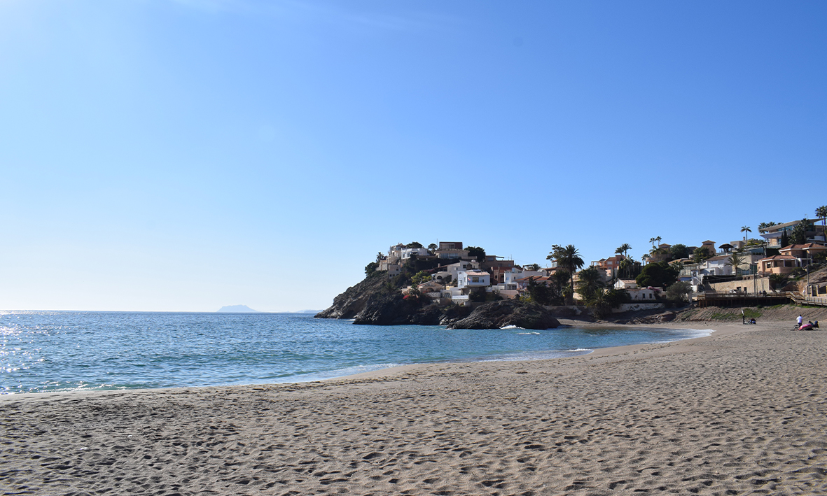 oasis de las palmeras bolnuevo s