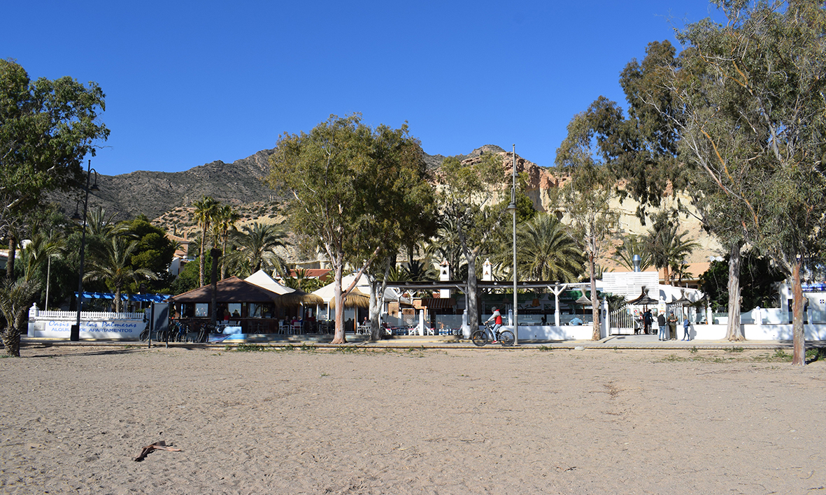 oasis de las palmeras bolnuevo t